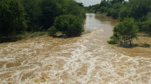 Hot weather, no rain contribute to decreasing Gauteng dam levels