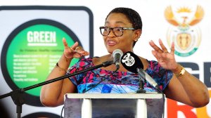 Chairperson of the Social Housing Regulatory Authority interim board Bathabile Dlamini