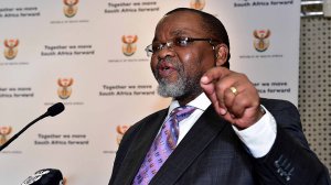 Minister of Mineral Resources and Energy Gwede Mantashe