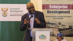Deputy Minister of Trade, Industry and Economic Development Fikile Majola