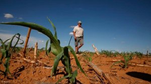  Agri SA welcomes increased govt focus on farm attacks
