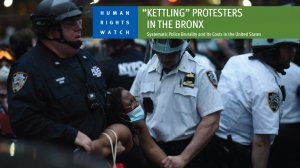  Systemic Police Brutality and Its Costs in the United States 