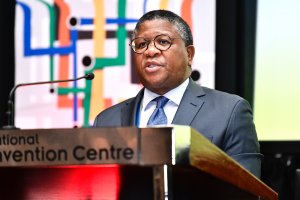 Minister of Transport, Fikile Mbalula