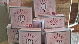 Image of the Elle cups donated to 1000 girl learners at the two KZN high schools