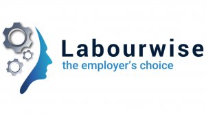 Labourwise logo