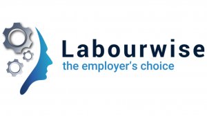 Labourwise logo
