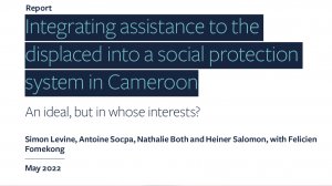 Integrating assistance to the displaced into a social protection system in Cameroon. An ideal, but in whose interests?