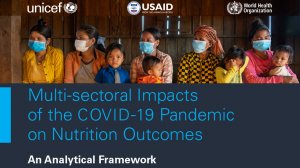  Multi-sectoral impacts of the COVID-19 pandemic on nutrition outcomes: an analytical framework