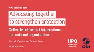 Advocating together to strengthen protection: collective efforts of international and national organisations