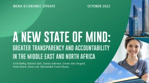 A New State of Mind: Greater Transparency and Accountability in the Middle East and North Africa