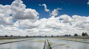 Rand Water's water treatment operations in Vereeniging