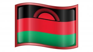 Malawian flag 