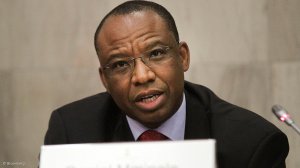 Head of the Presidential Climate Finance Task Team Daniel Mminele