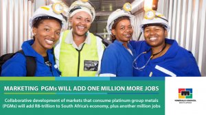 Platinum group metals can add million South African jobs plus R8-trillion to economy