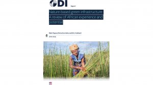 Nature-based green infrastructure: A review of African experience and potential
