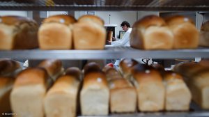 Loafs of bread