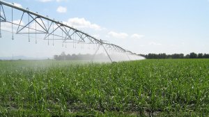 Agri SA warns of unconstitutionality of proposed water-use licence regulation