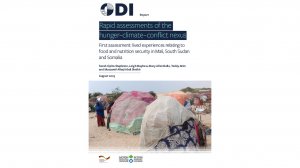 Rapid assessments of the hunger–climate–conflict nexus