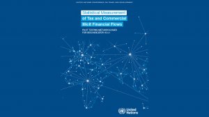  Statistical Measurement of Tax and Commercial Illicit Financial Flows 