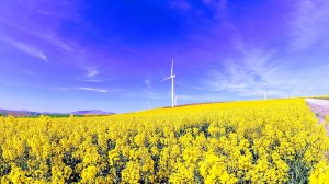 South Africa launches renewables procurement round for 5 000 MW of wind and solar