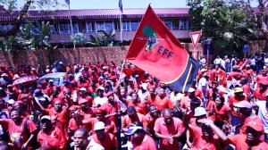 EFF spokesperson in court for allegedly assaulting fellow party member at voter registration event