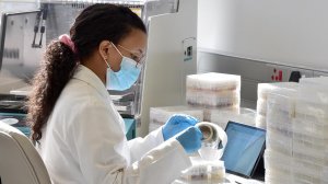 Gates Foundation funds African scientists searching for TB and malaria cure