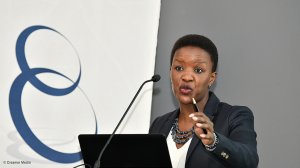 Mavuso says visa reform is good and well, but govt capacity may negate the positives