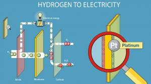 Proton exchange membrane (PEM) fuel cells convert hydrogen to electricity, with cathode-side platinum being required.