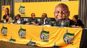 Parties await details of ANC unity government proposal