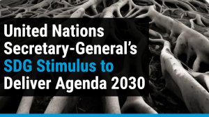  United Nations Secretary-General’s SDG Stimulus to Deliver Agenda 2030