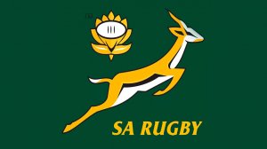 Minister Gayton McKenzie congratulates Springboks and Dricus du Plessis on wins