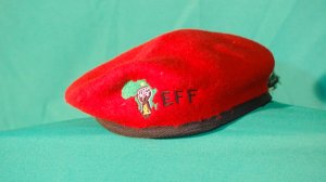 image of EFF beret