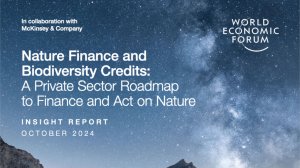  Nature Finance and Biodiversity Credits: A Private Sector Roadmap to Finance and Act on Nature 