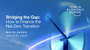  Bridging the Gap: How to Finance the Net-Zero Transition 