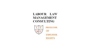 Labour Law Management Consulting