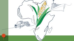  Transport Connectivity for Food Security in Africa: Strengthening Supply Chains