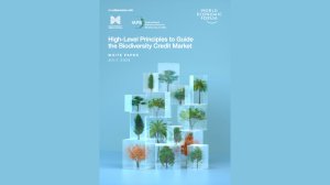 High-Level Principles to Guide the Biodiversity Credit Market 
