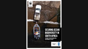 Securing ocean biodiversity in South Africa: A roadmap for how marine OECMs can contribute to 30x30