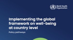  Implementing the global framework on well-being at the country level