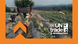  Plastic substitution in developing countries: Sectoral opportunities and challenges