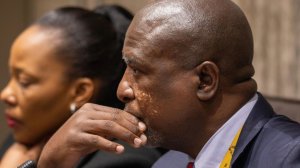 Committee chairperson Molapi Lekganyane