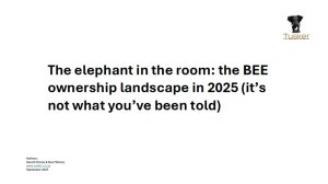 The elephant in the room: the BEE ownership landscape in 2025 (it’s not what you’ve been told)