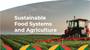 B20 South Africa Sustainable Food Systems and Agriculture Final Paper