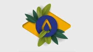 Brazil’s biofuels industry: Lessons, challenges and opportunities