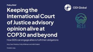 Keeping the International Court of Justice advisory opinion alive at COP30 and beyond
