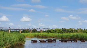Department confirms no name change for Kruger National Park
