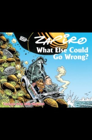 Zapiro: What Else Could Go Wrong?