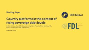 Country platforms in the context of rising sovereign debt levels