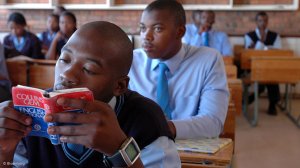 DBE proposes single national school calendar