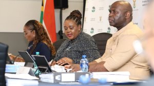 NDPP advisory panel chairperson Mmamoloko Kubayi